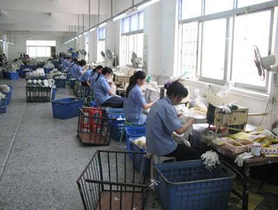 专业生产棉纱手套